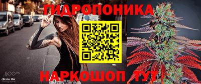 кокс Нальчик