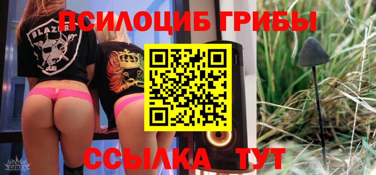 Бошки Шишки  ГАШ  Кокаин  Туймазы  Мефедрон кристаллы  Вход с VPN  МАРИХУАНА 